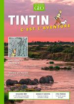 Tintin c’est l’aventure ... T.11