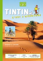 Tintin c'est l'aventure T.13 Le désert