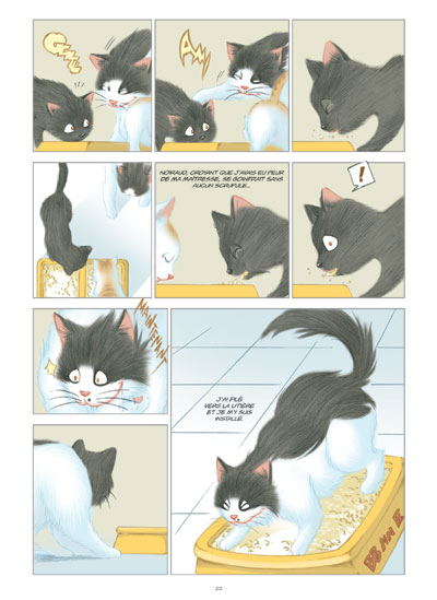 Extrait 1 NIUMAO (tome 3)  - Le chat chinois tombe amoureux 