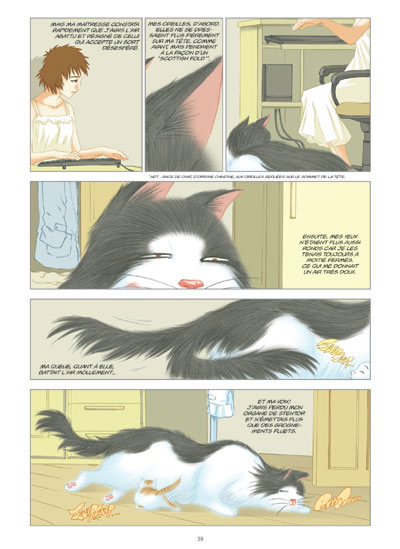 Extrait 3 NIUMAO (tome 3)  - Le chat chinois tombe amoureux 